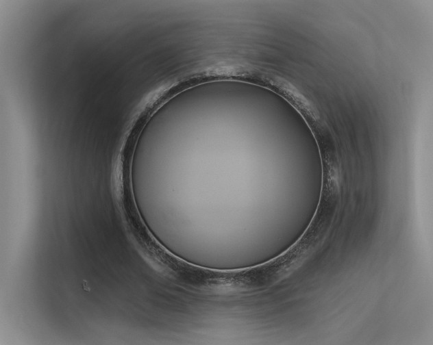 X0000113360678200909151236