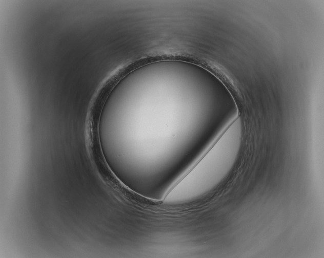 X0000113360680200909151236