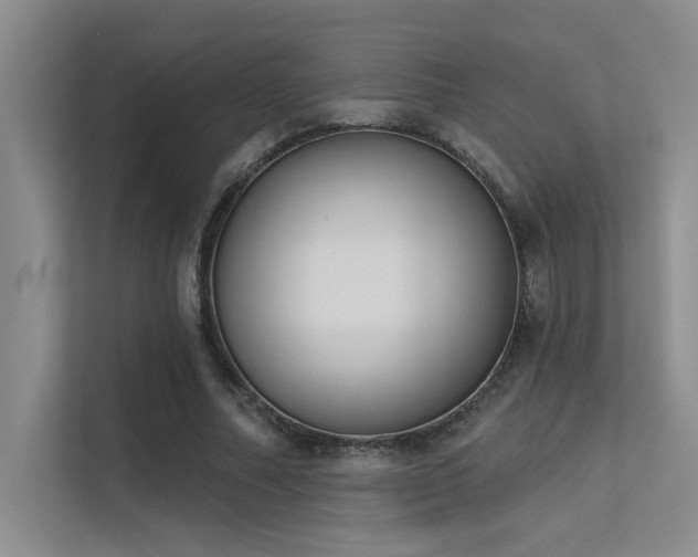 X0000113360682200909151236