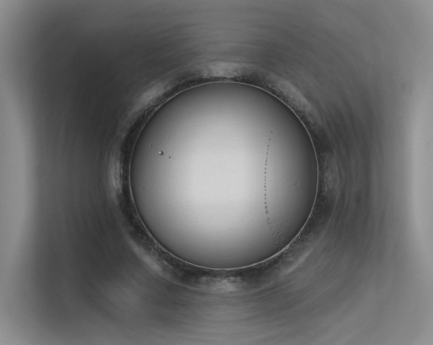 X0000113360683200909151236