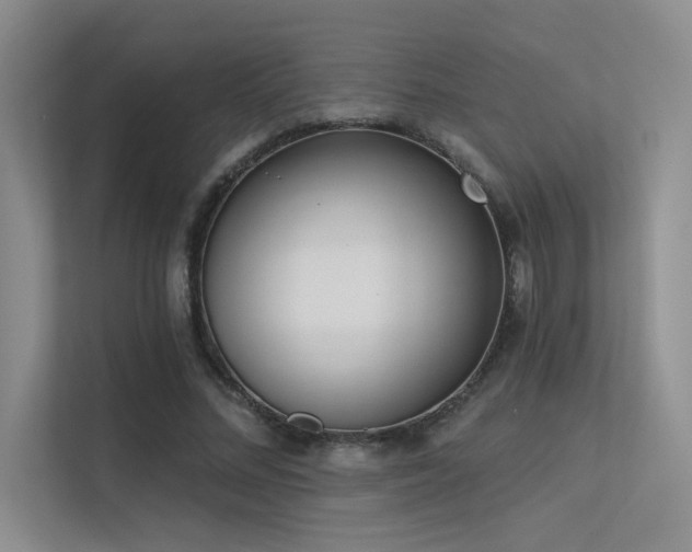 X0000113360684200909151236