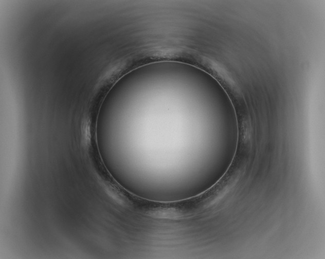 X0000113360685200909151236