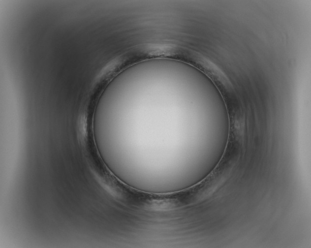 X0000113360686200909151236