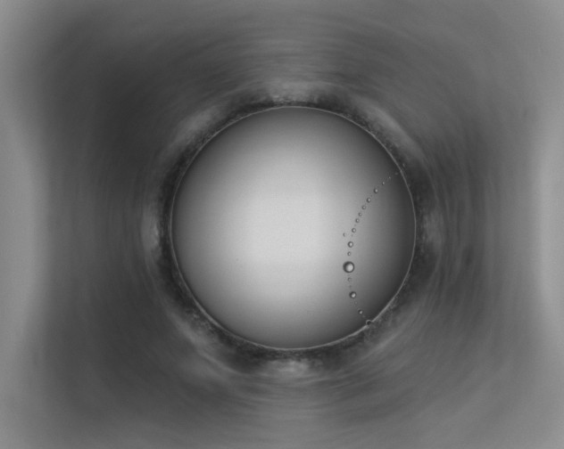 X0000113360687200909151236