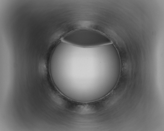 X0000113360688200909151236