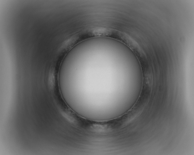 X0000113360690200909151236