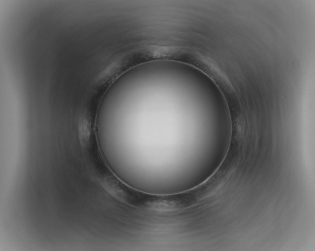 X0000113360691200909151236