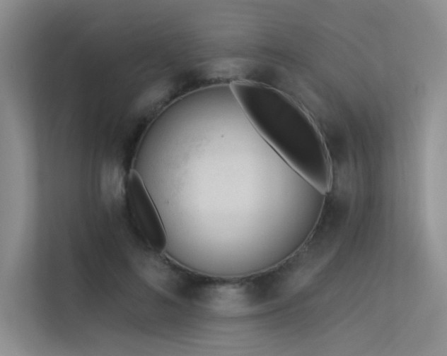 X0000113360692200909151236