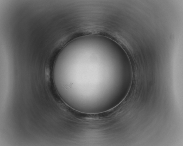 X0000113360693200909151236