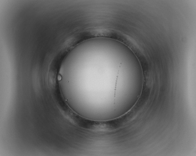 X0000113360695200909151236