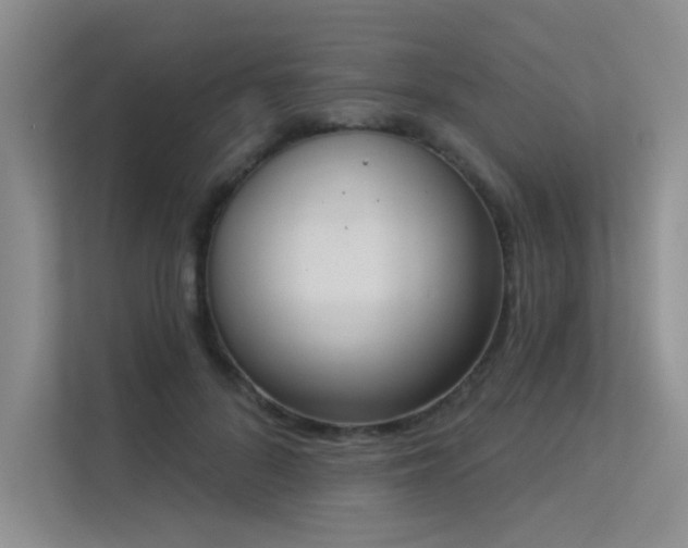 X0000113360696200909151236