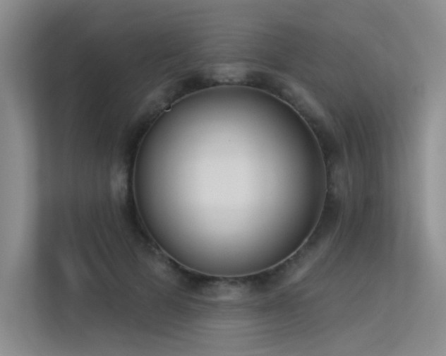 X0000113360697200909151236