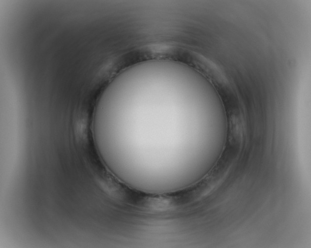 X0000113360698200909151236