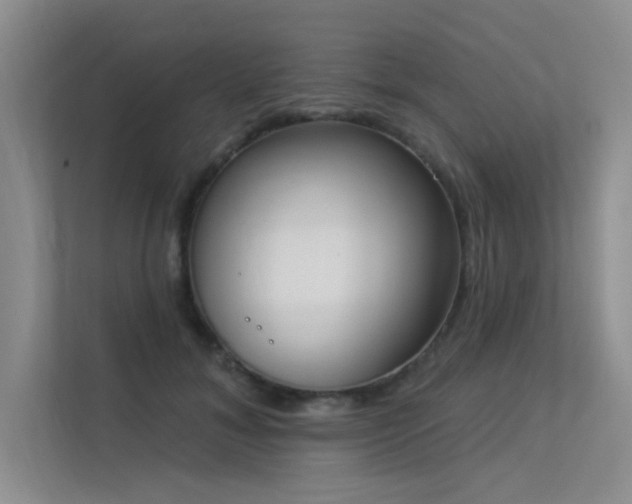 X0000113360700200909151235