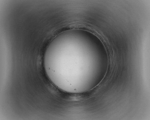 X0000113360701200909151235