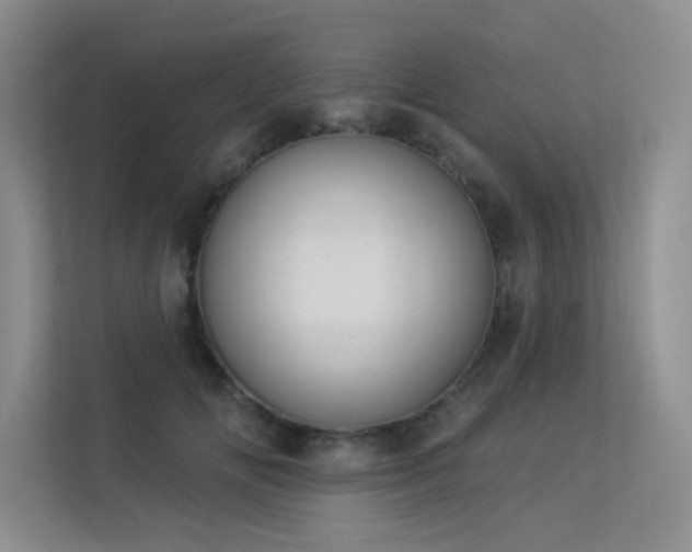 X0000113360702200909151235
