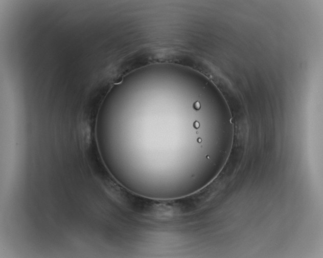 X0000113360703200909151235