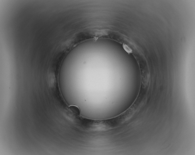 X0000113360704200909151235