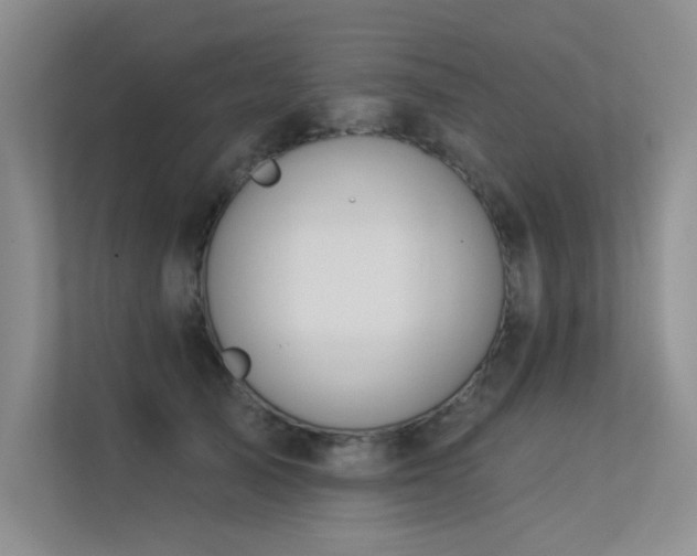 X0000113360705200909151235