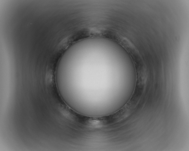 X0000113360706200909151235