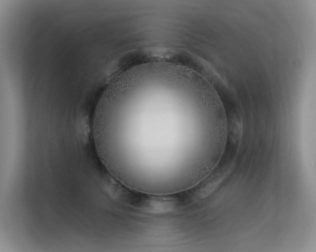 X0000113360707200909151235