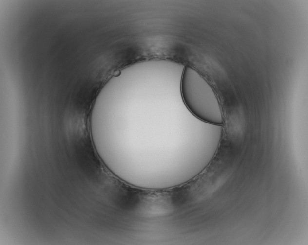 X0000113360709200909151235