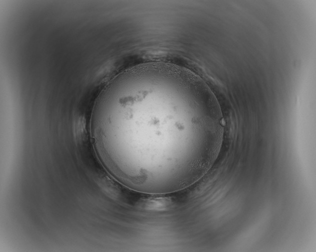 X0000113360711200909151235