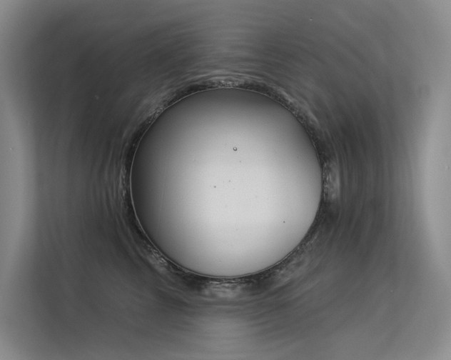 X0000113360713200909151235