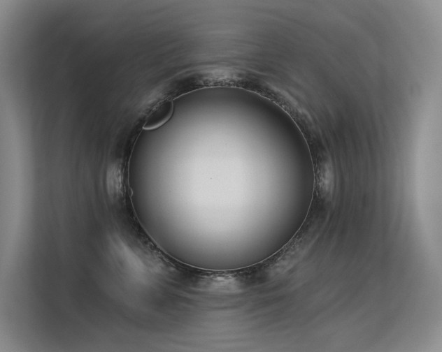 X0000113360715200909151235