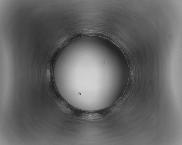 X0000113360716200909151235