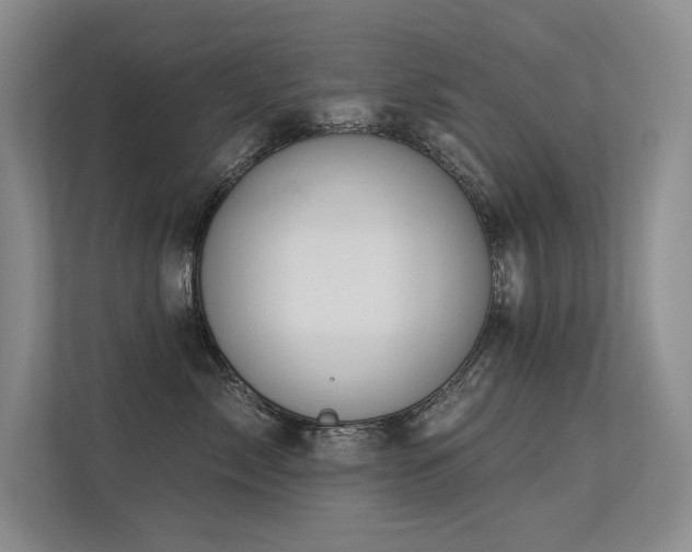 X0000113360717200909151235