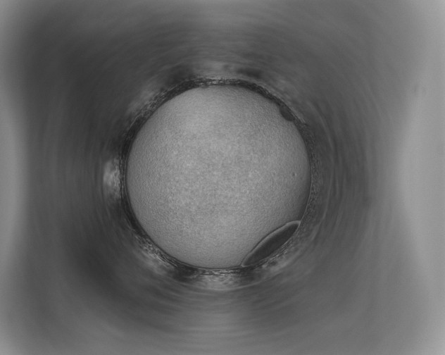 X0000113360720200909151235