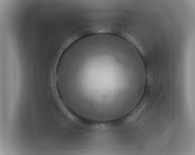 X0000113360721200909151235