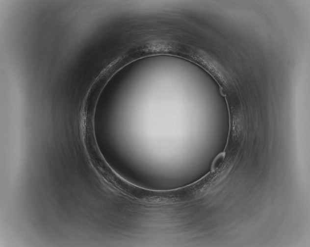 X0000113360722200909151235