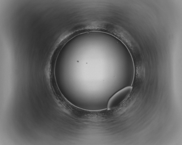 X0000113360724200909151235
