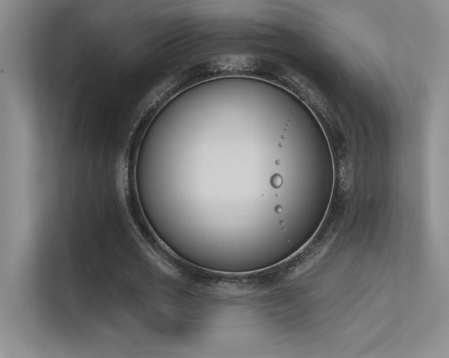 X0000113360725200909151235