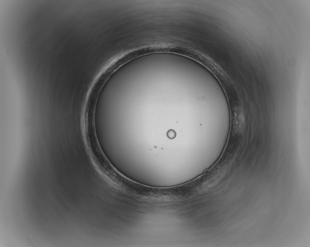 X0000113360726200909151235