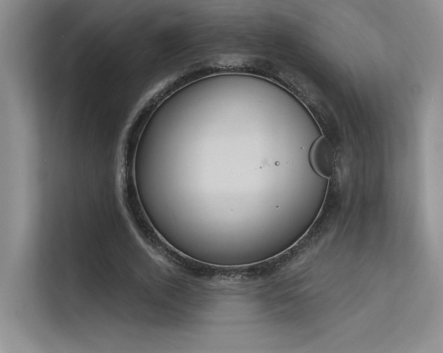 X0000113360728200909151235