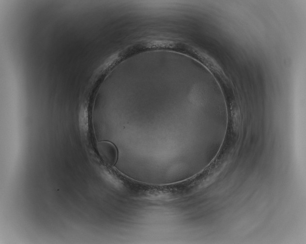 X0000113360729200909151235
