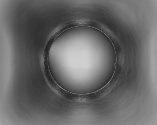 X0000113360730200909151235
