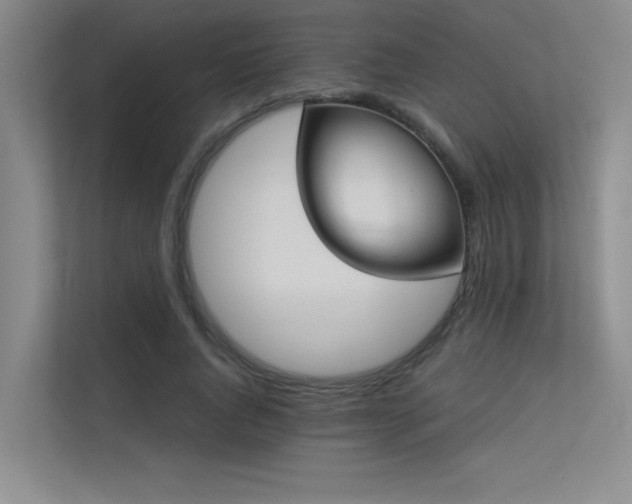 X0000113360736200909151235