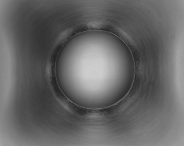 X0000113360738200909151235