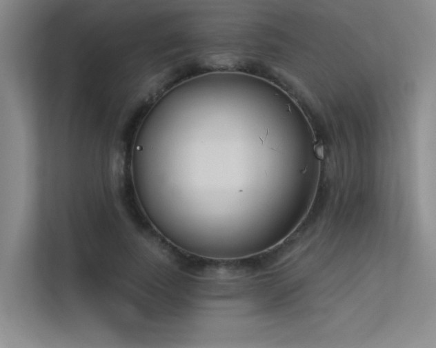 X0000113360739200909151235