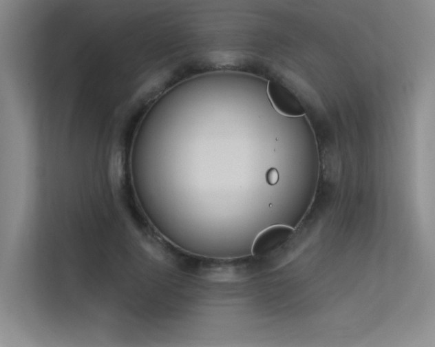 X0000113360740200909151235