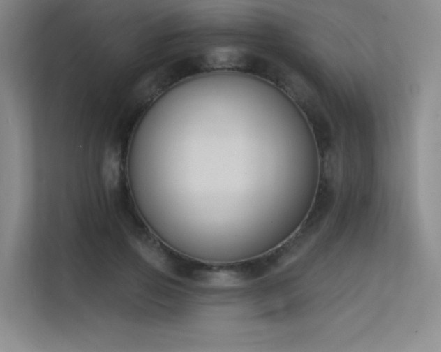 X0000113360741200909151235