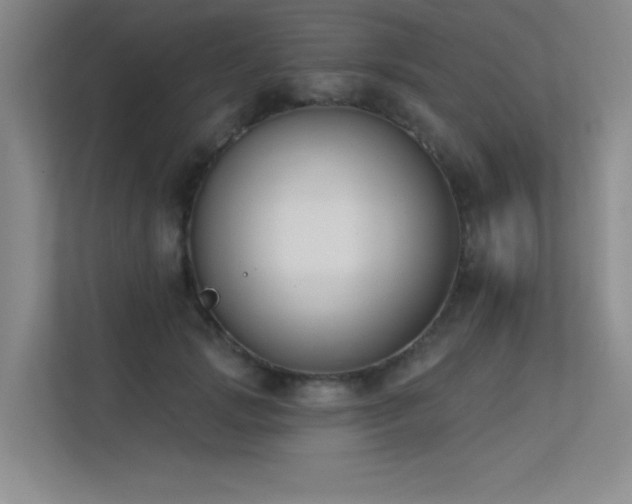 X0000113360749200909151235