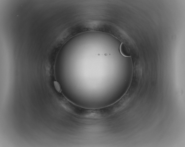 X0000113360750200909151235