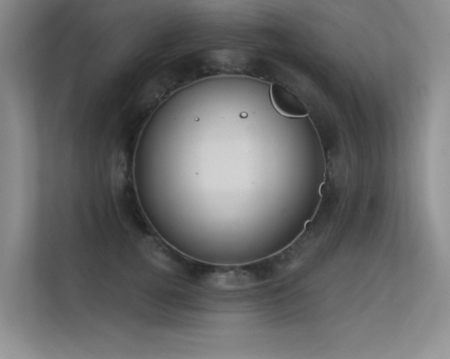 X0000113360752200909151235