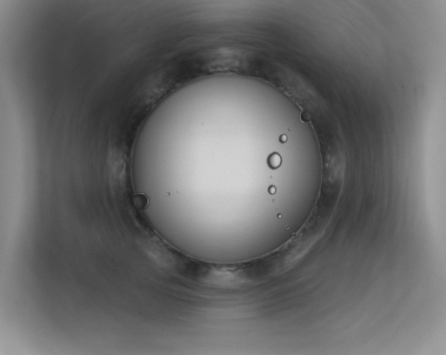 X0000113360753200909151235
