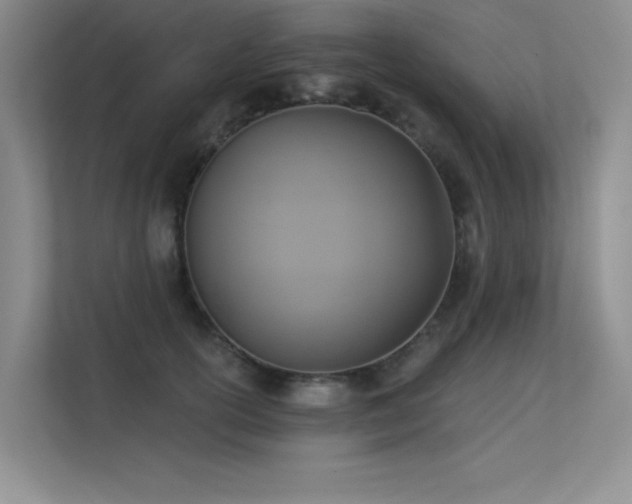 X0000113360754200909151235